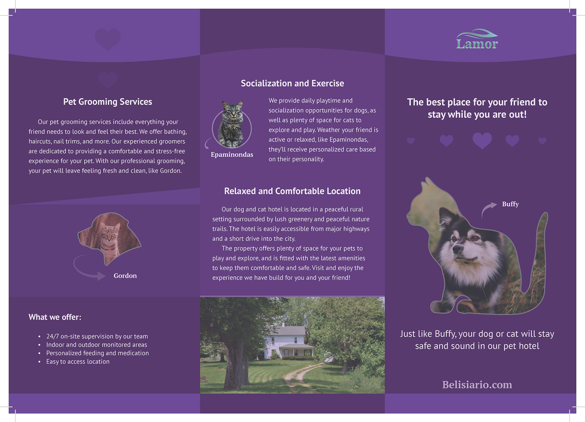 Flyer of a dog & cat hotel divided into three parts and presenting the services of the hotel with pictures of dog and cat with a purple background.