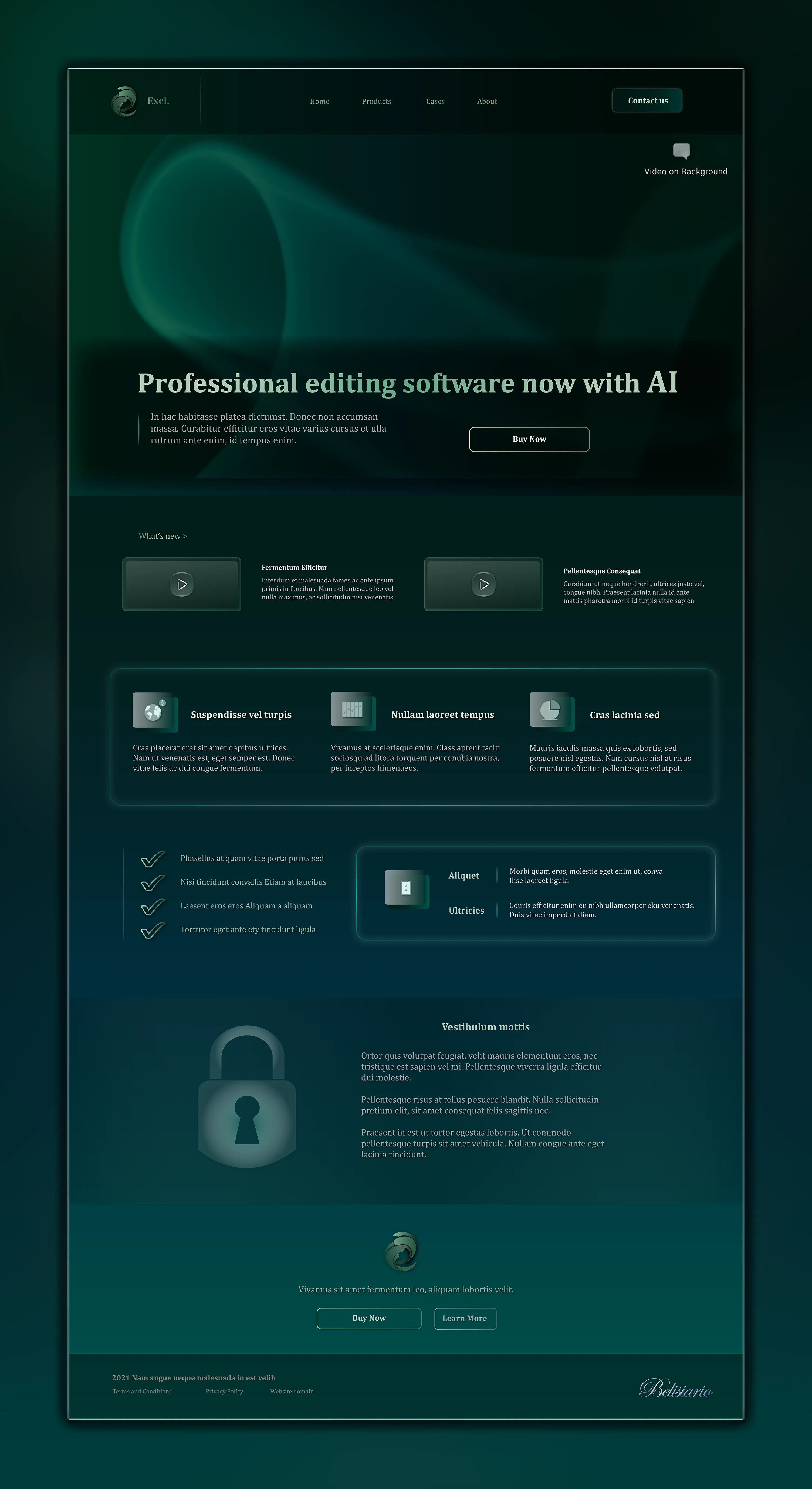 Home page of the website of a professional editing software company in which the heading states: "Professional editing software now with AI"